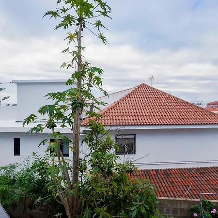 Appartement New Cozy Botanico
